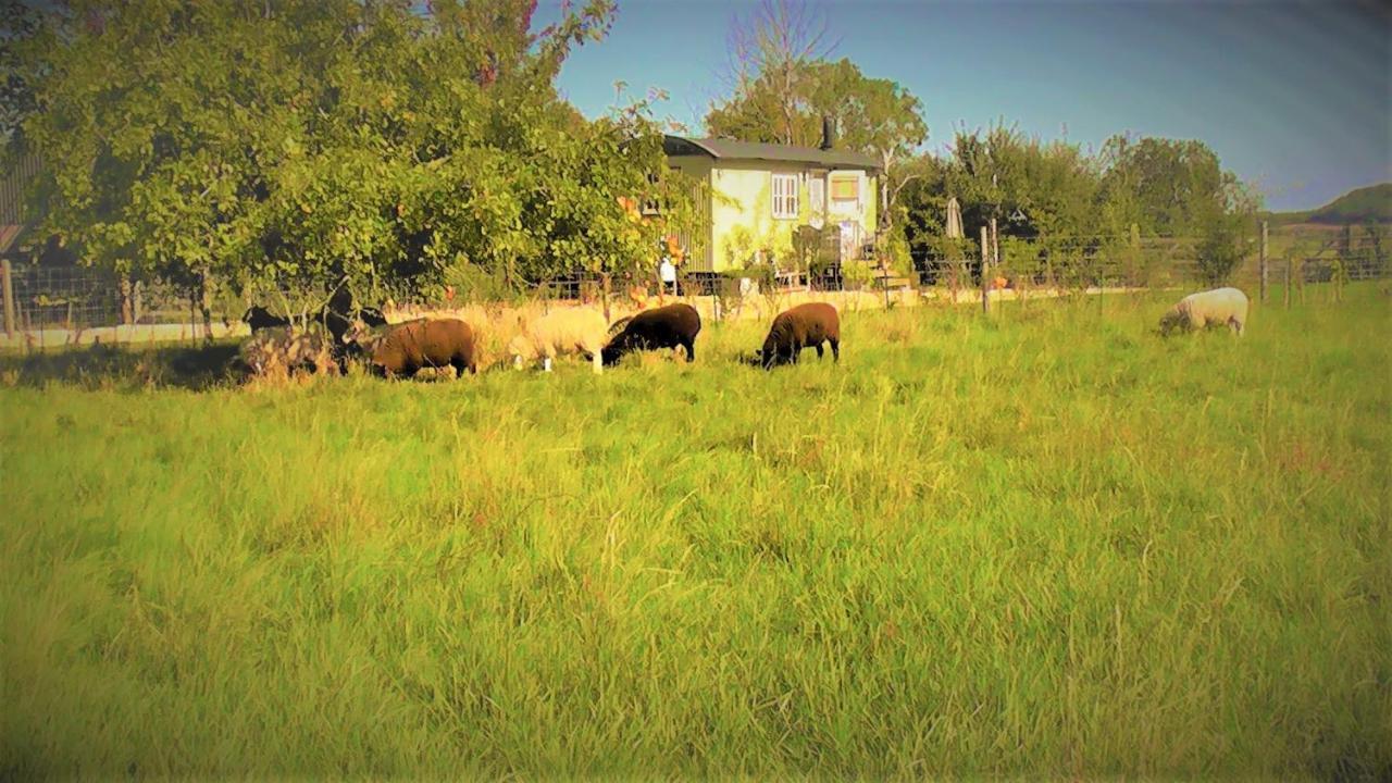 The Abberton Shepherds Hut Ившем Экстерьер фото